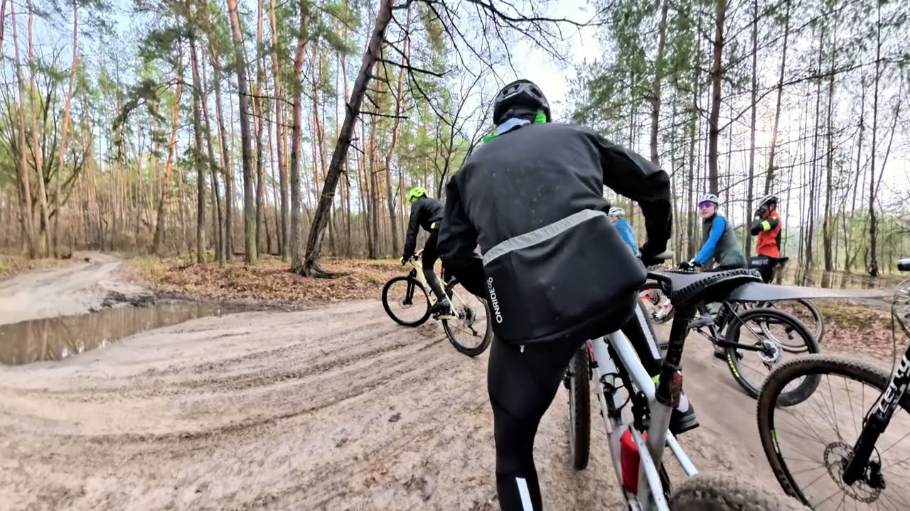 Проезжаем большие гранд каньоны в сосновом лесу, и много песчаных перекрестков.