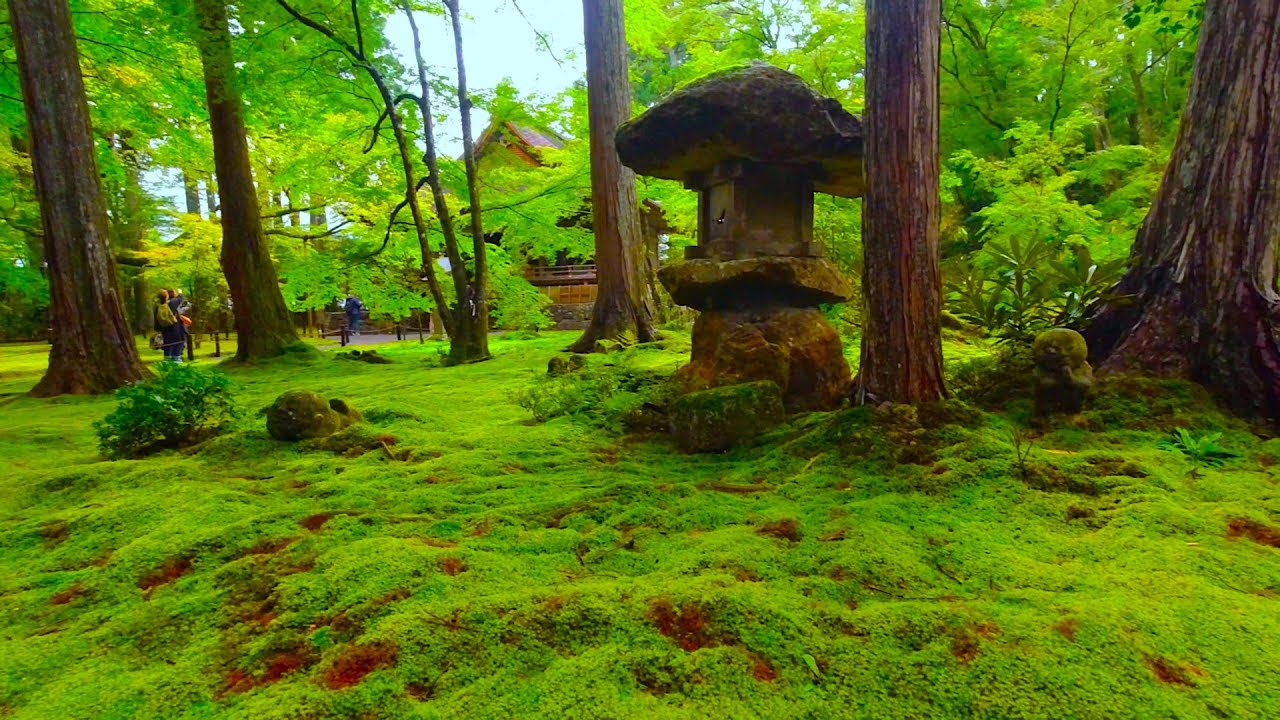Kyoto Walk - Sanzenin Temple (三千院) - 4K