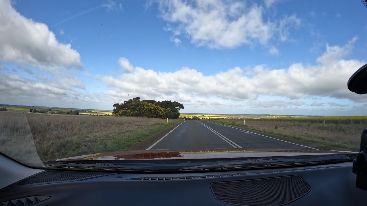 Drive Through the Canola Fields of Victoria - Beaufort to Hamilton [4K][No Audio]