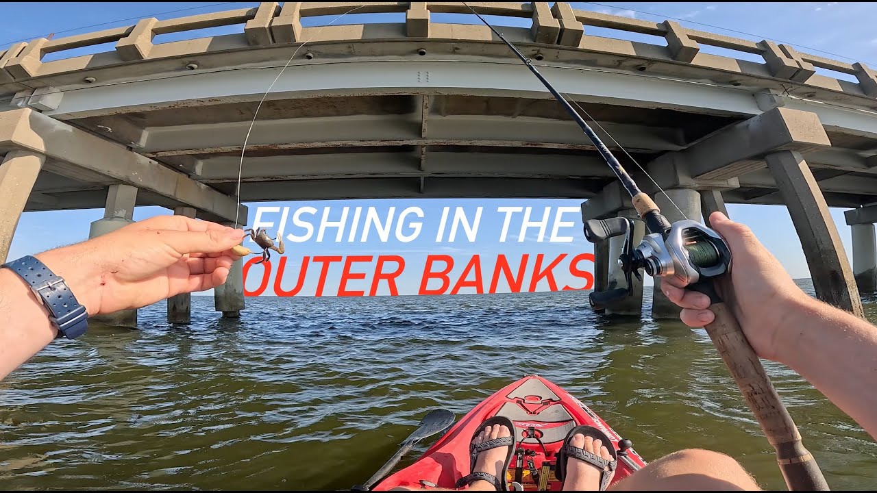 Bridge Fishing in the OUTER BANKS for these TASTY Fish
