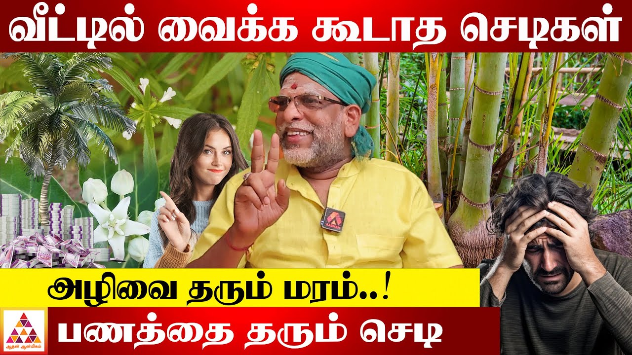 COMPOUND WALL-க்கு உள்ள வைக்கவேண்டிய மரம் | வாஸ்து ஜோதிடர் பழனி முருகன்  #வாஸ்து