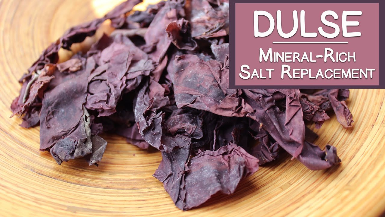 Dulse Seaweed, A Mineral-Rich Salt Replacement