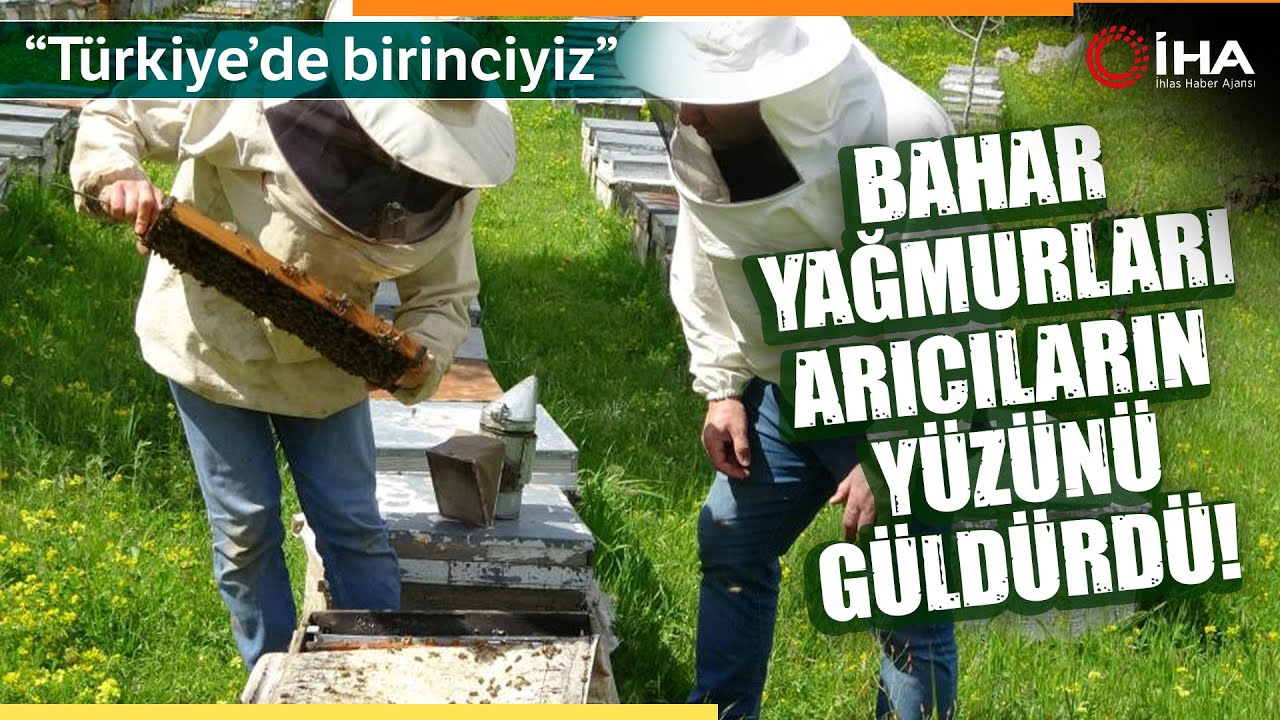 Siirt’te Bahar Yağmurları Arıcıların Yüzünü Güldürdü