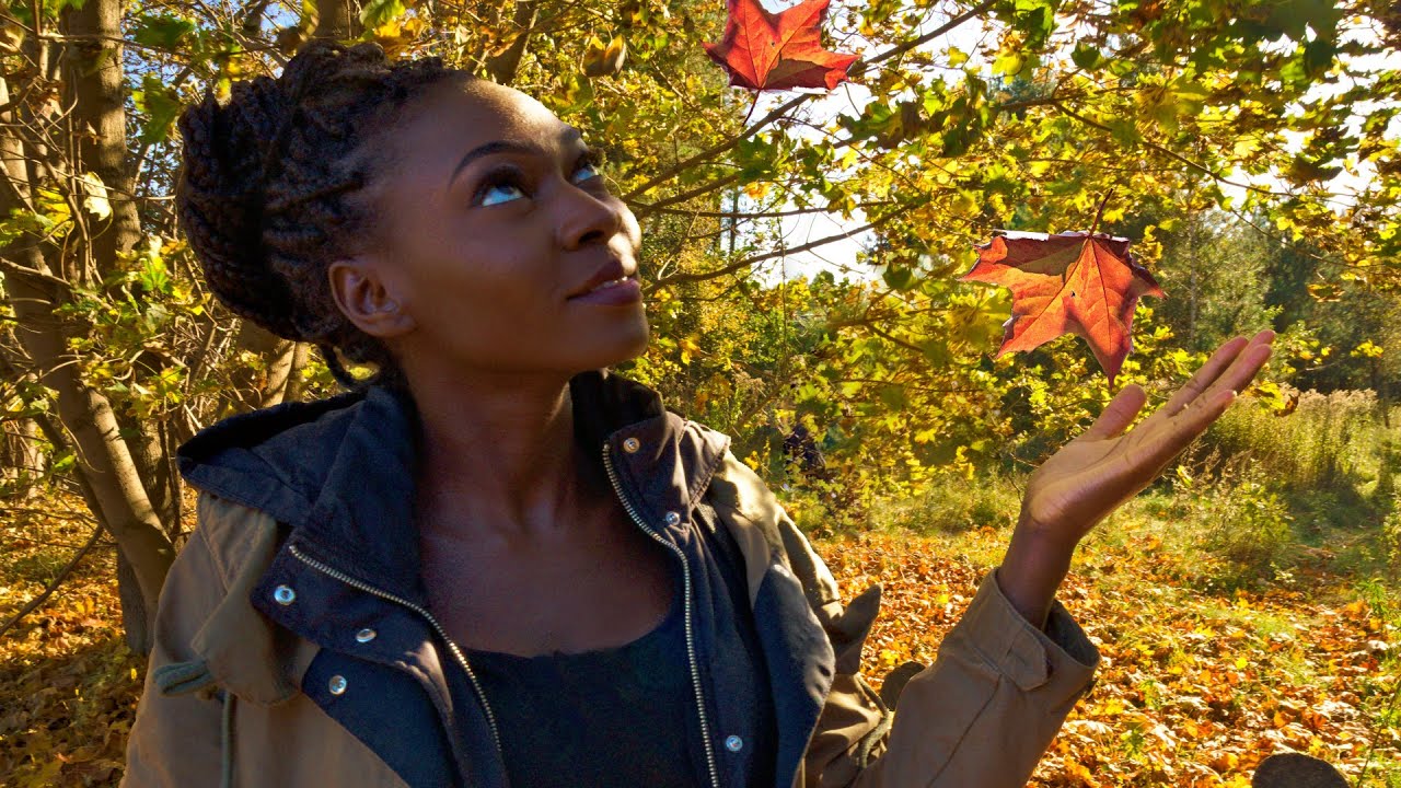 Automne doré polonais