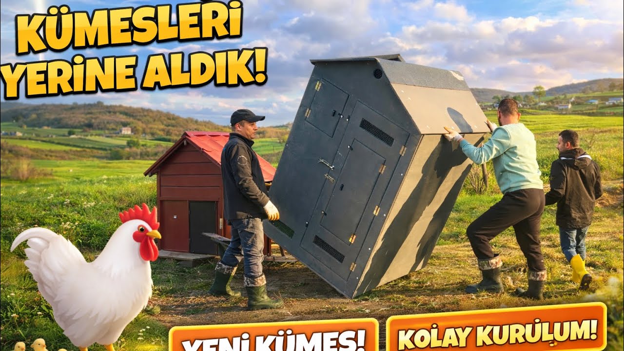 K&uuml;mesleri Yerine Aldık 🐔 Sultan Tavuklarını İlk Defa Dışarı Saldık 🐓 &Ccedil;iftlik K&ouml;y Bah&ccedil;e İşleri 🌿