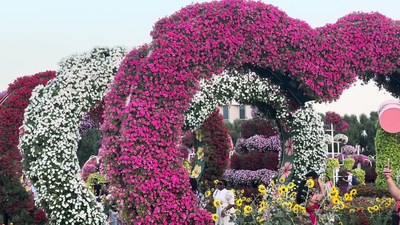 Dubai miracle garden 