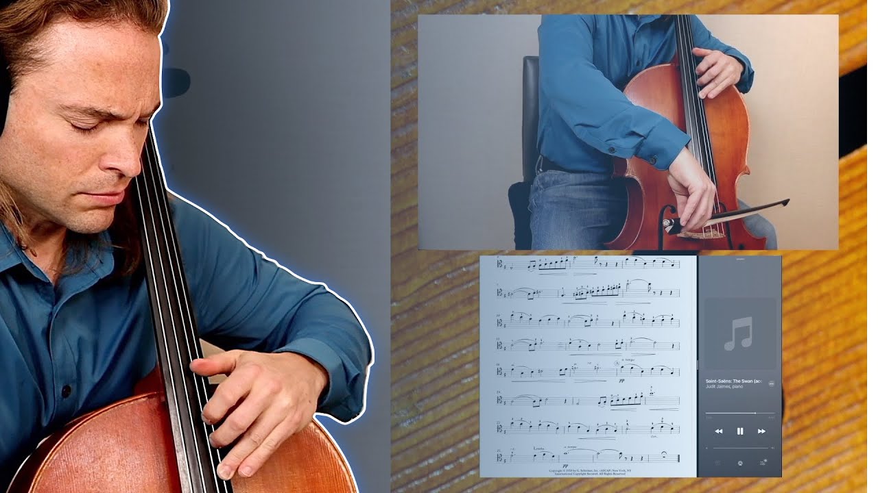 The Swan on Cello ( Le Cygne au Violoncelle ) Saint-Saëns