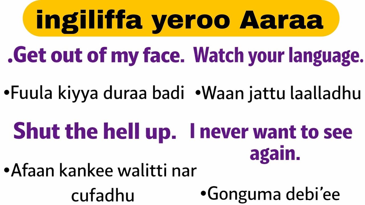 Barnoota Afaan Oromoo fi English guutuu isaa @furtuu1