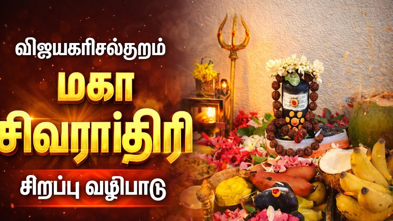 விஜயகாரிசல்குளம் விஜயநகர் மகா சிவராத்திரி