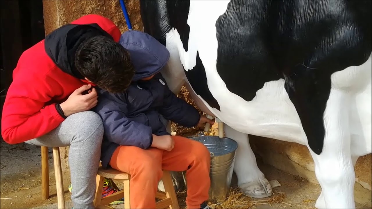 Munyim a la vaca Paca