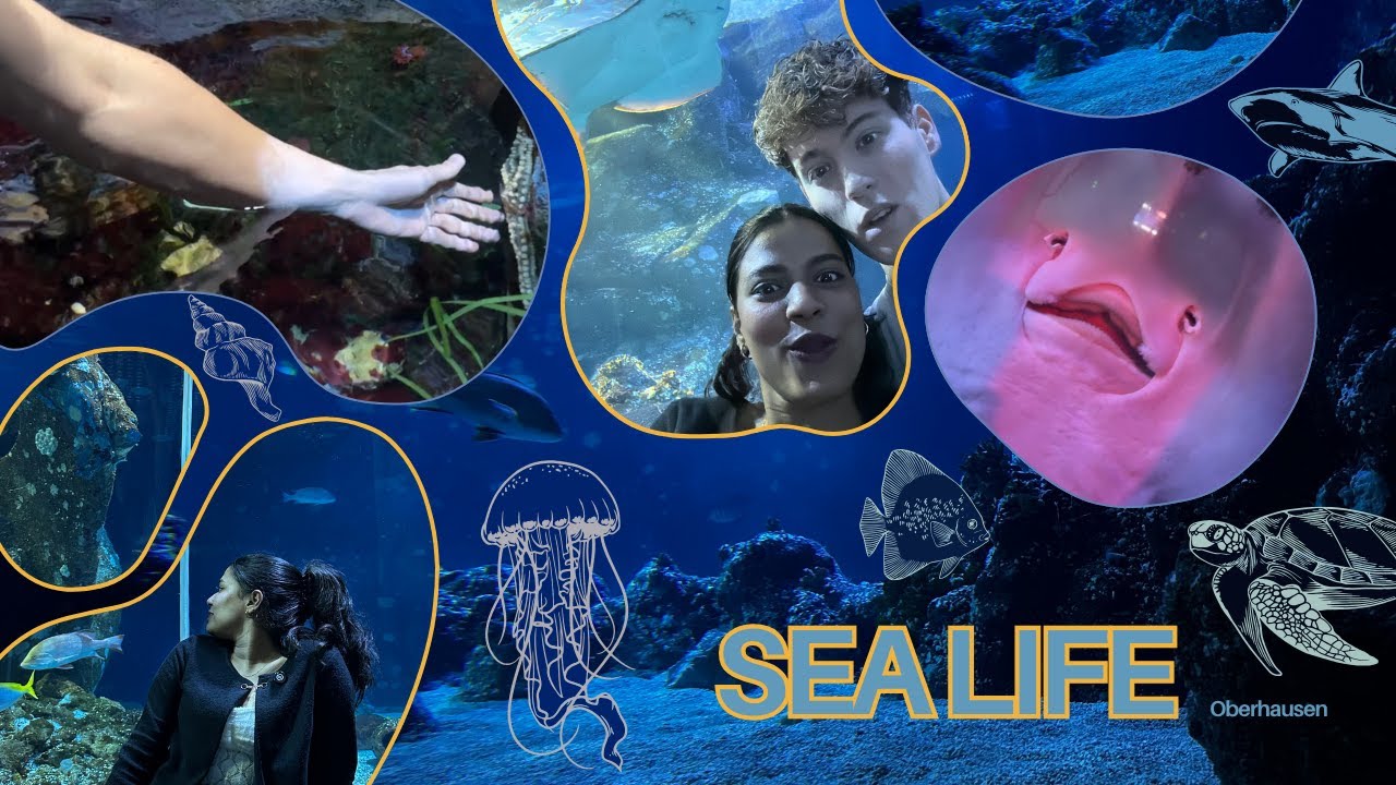 കടലിനടിയിലെ കാഴ്ചകൾ 🪼🪸🥰| we touched sea creatures🪼🪸🦞 | we created our fish🐡🦈|Oberhausen Sea Life Day