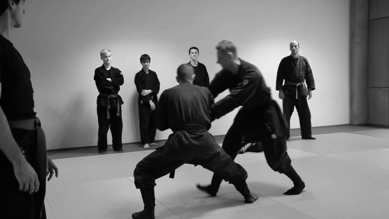 Bujinkan Ninjutsu Wortegem-Petegem - Belgium HD