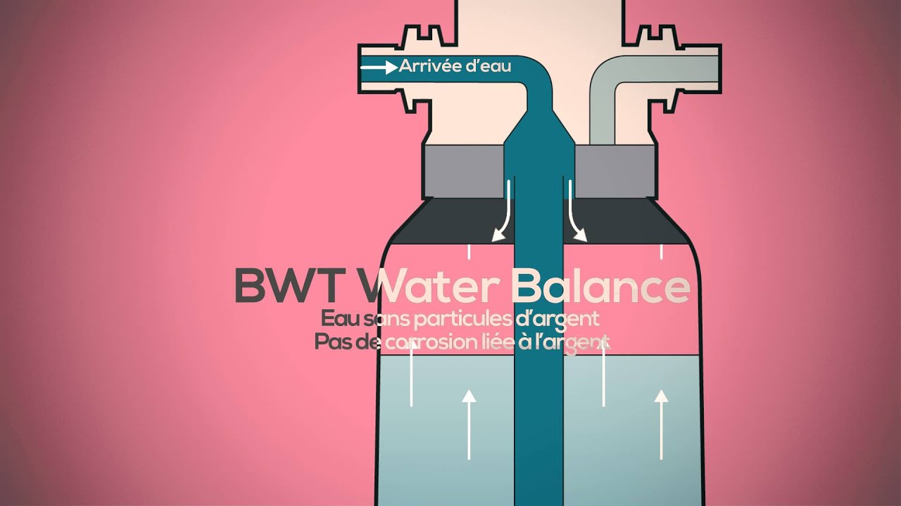 BWT bestmax BALANCE
