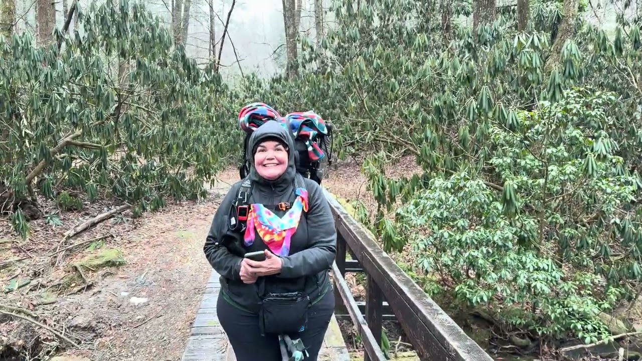 AT Day 1 Springer Mountain to Hawk Mountain Shelter