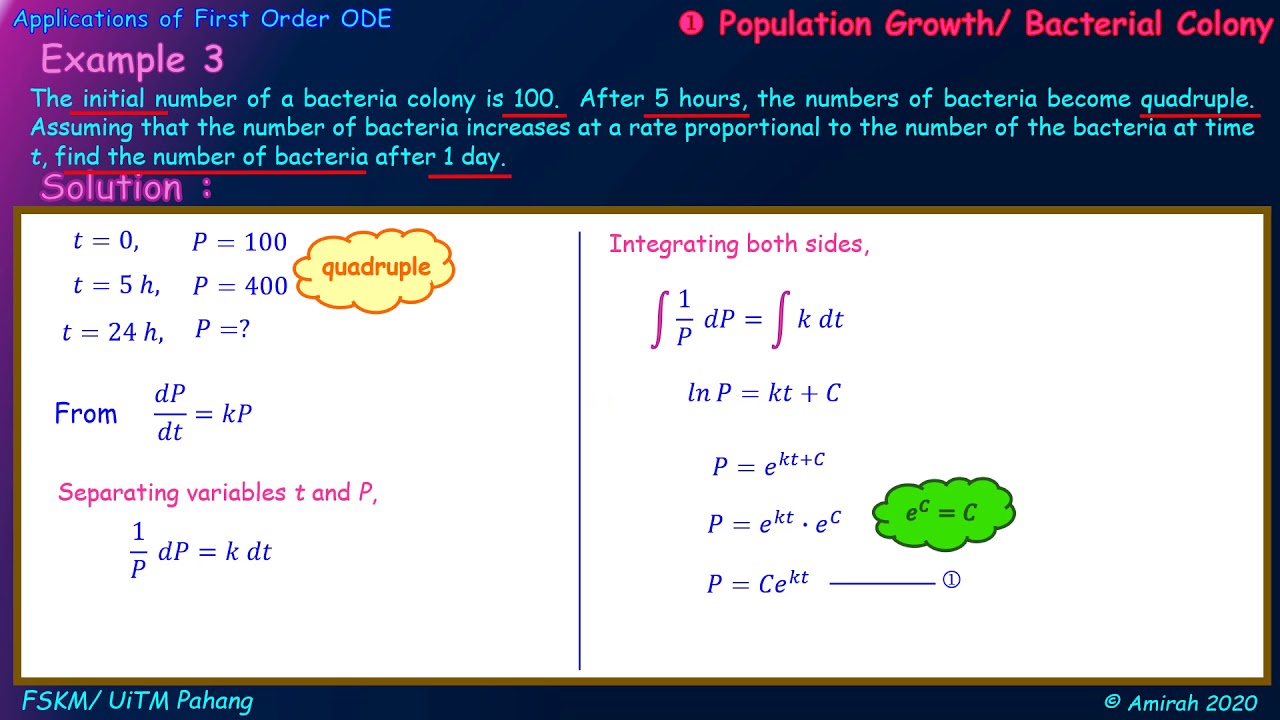 first order differential equation (bacterial colony)