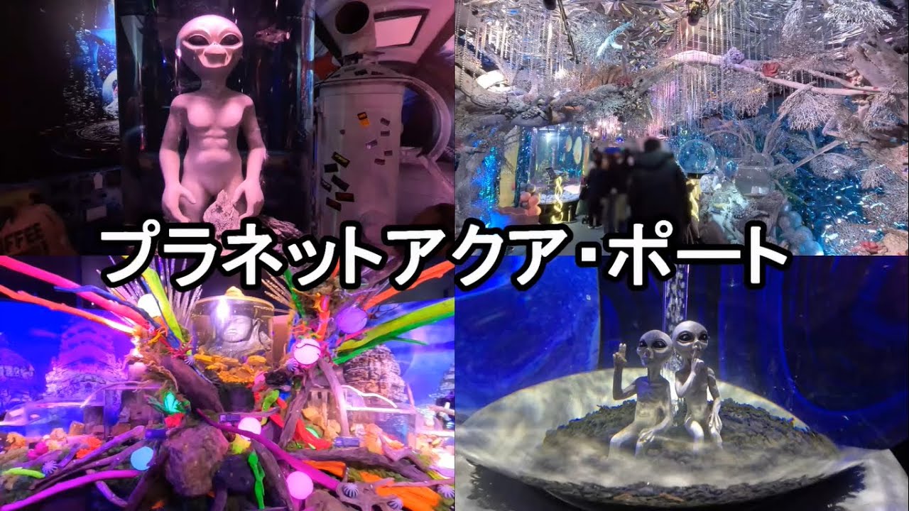 【ひらパー】新アトラクション 宇宙×アクアリウム『プラネットアクア・ポート』