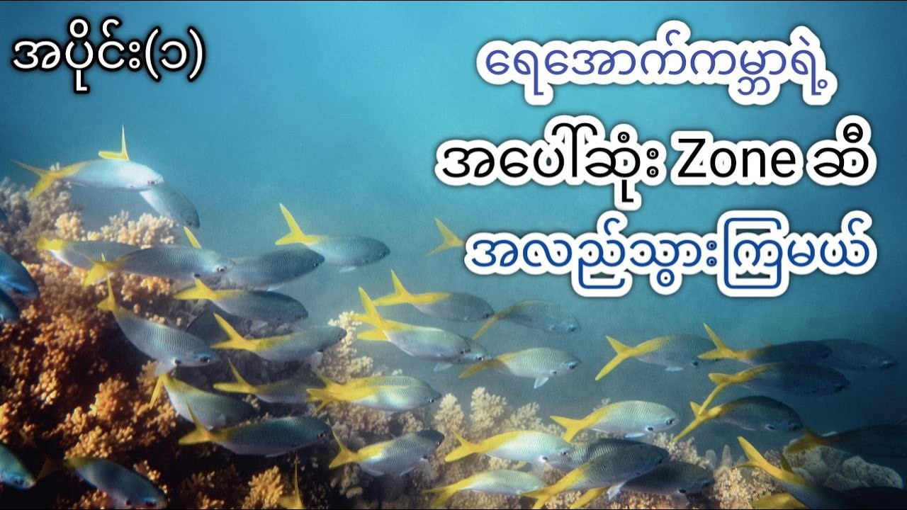 အပိုင်း (၁) Sunlight Zone : ပင်လယ်​အောက်က အလင်း​ရောင်ကမ္ဘာ
