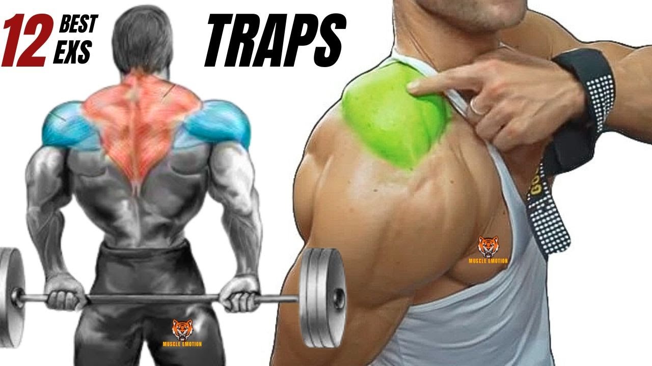 TRAPS WORKOUT- 12 best traps exercises at gym