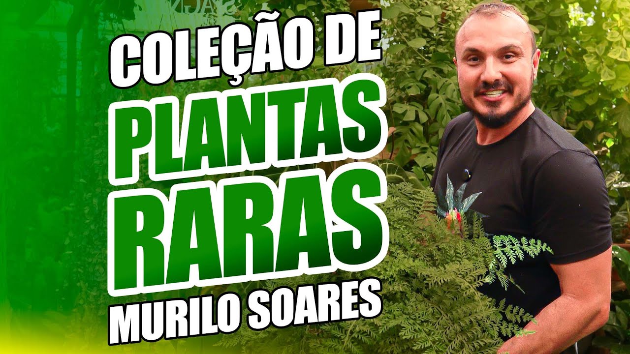 Conheça a coleção de PLANTAS RARAS do Murilo Soares  | Parte 01 - Plantas de sombra