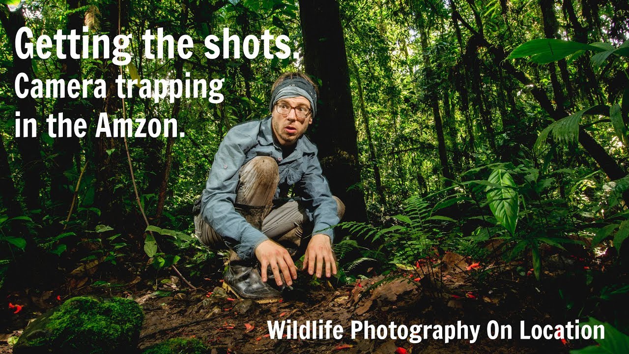 WILDLIFE PHOTOGRAPHY on Location -  Getting the shots |  My Final week in the Amazon