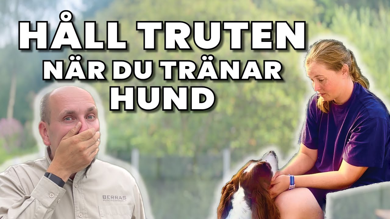 Verbala kommandon, Sluta tjata och få din hund till att Lyssna!