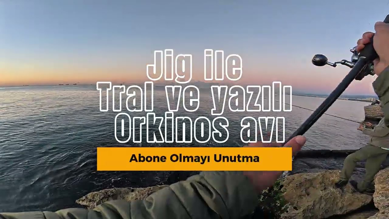 SPİN İLE ORKİNOS AVI
