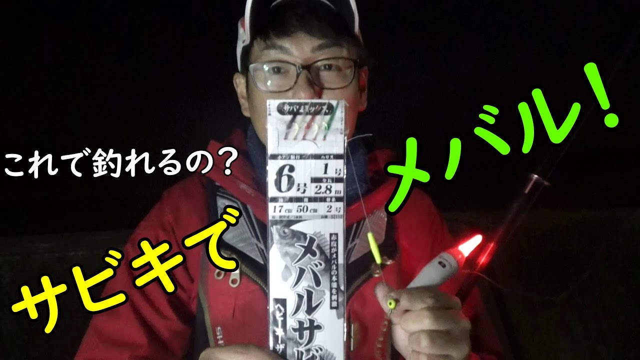 メバルサビキで魚を狙ってみた！