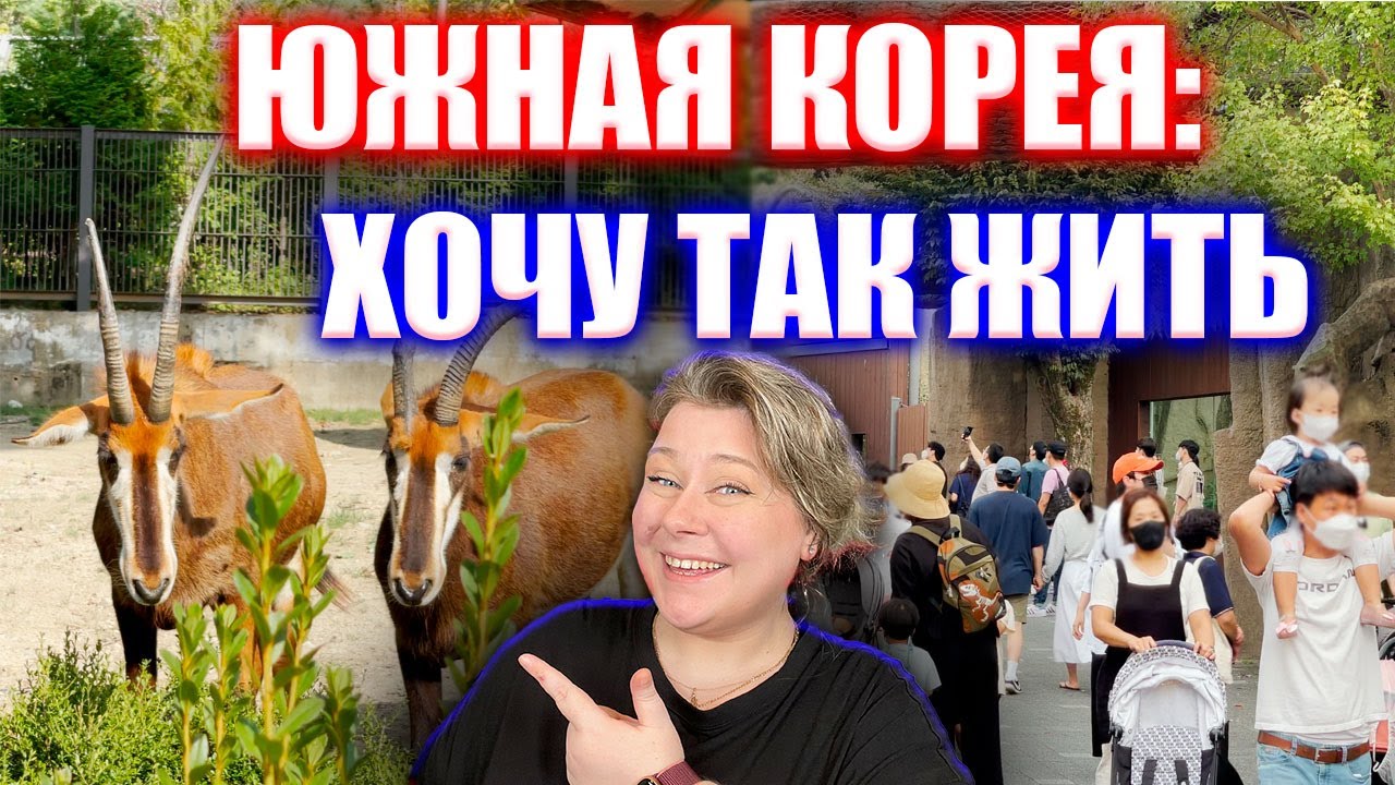 СЕКРЕТ корейского отдыха | Зоопарк в Южной Корее | Корея влог