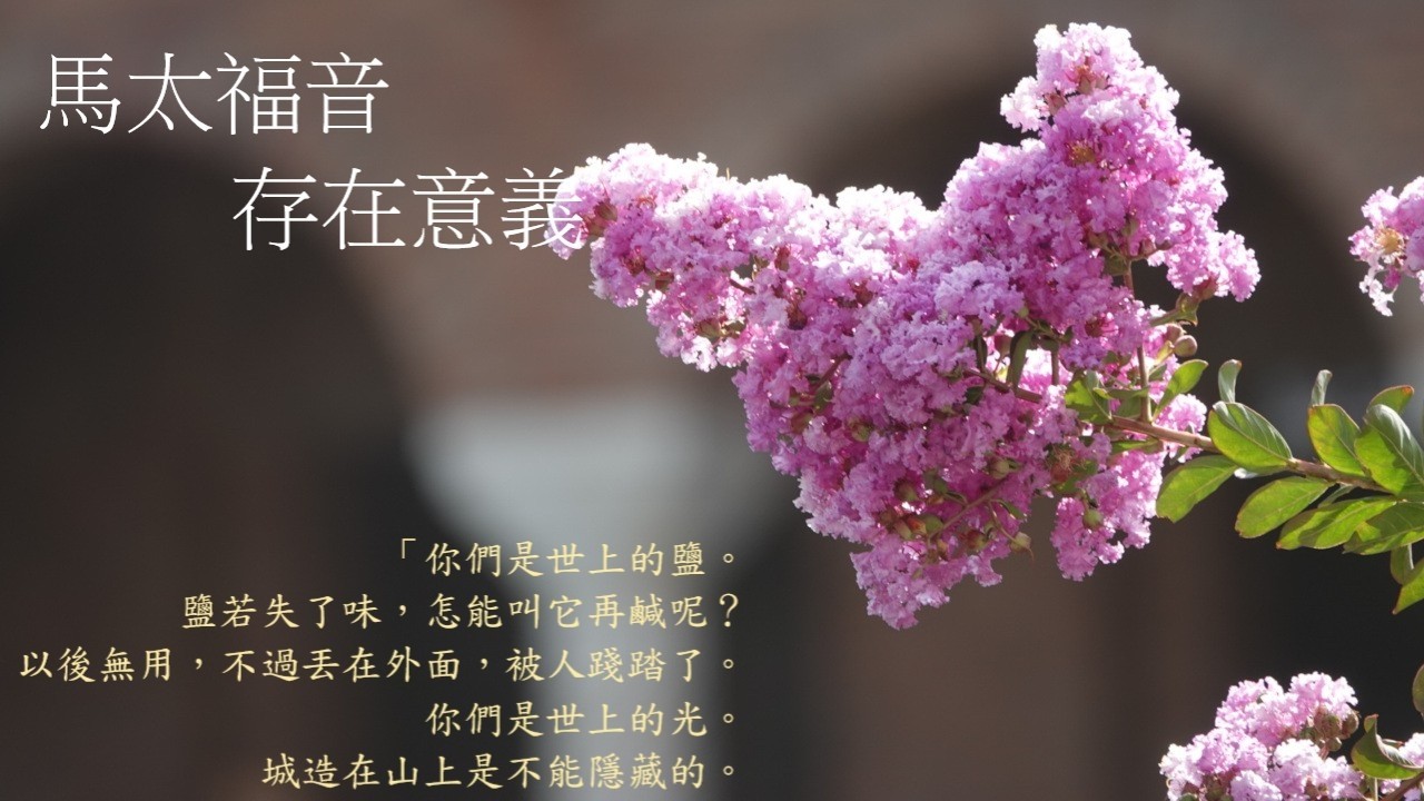 靈修:馬太福音-存在意義 20260313 (潮語讀經版)
