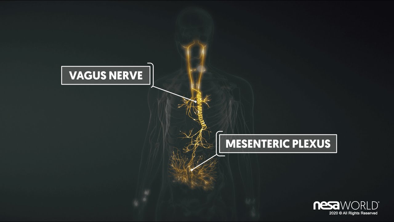Description of Non-Invasive Neuromodulation 3D (4K) NESA&reg; 2020 [EN🇬🇧] Feat. NESA WORLD&reg; (4 min)