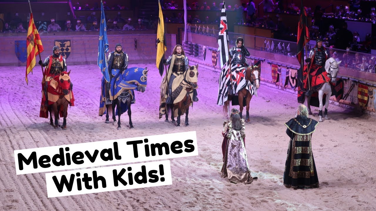 Празднование дня рождения наших близнецов в Medieval Times в Линдхерсте, штат Нью-Джерси | Лошади...