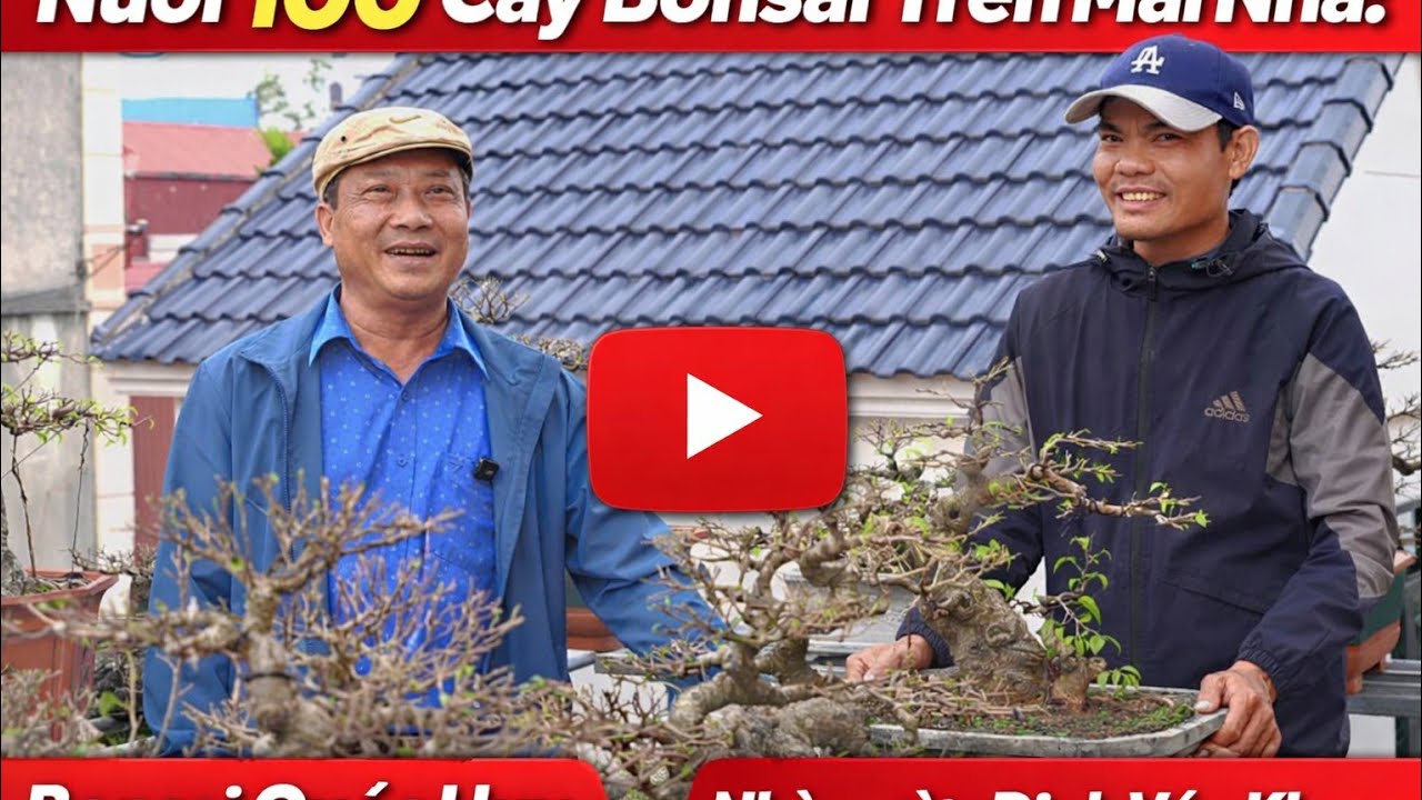 Nhà vườn  / Đinh Văn Khang .Đc : Xóm Tây Lễ , xã Hải Hưng, Hải Hậu, Nam Định. SĐT. 0912 294 316.