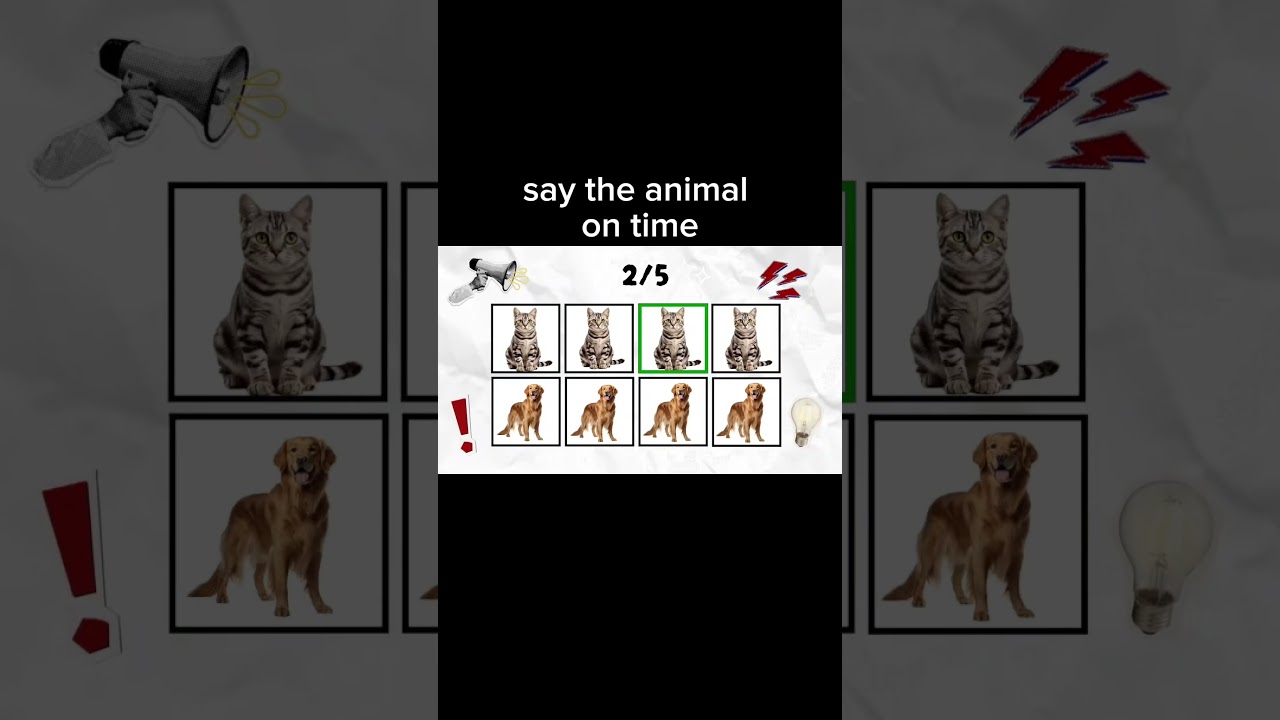 say the animal on beat