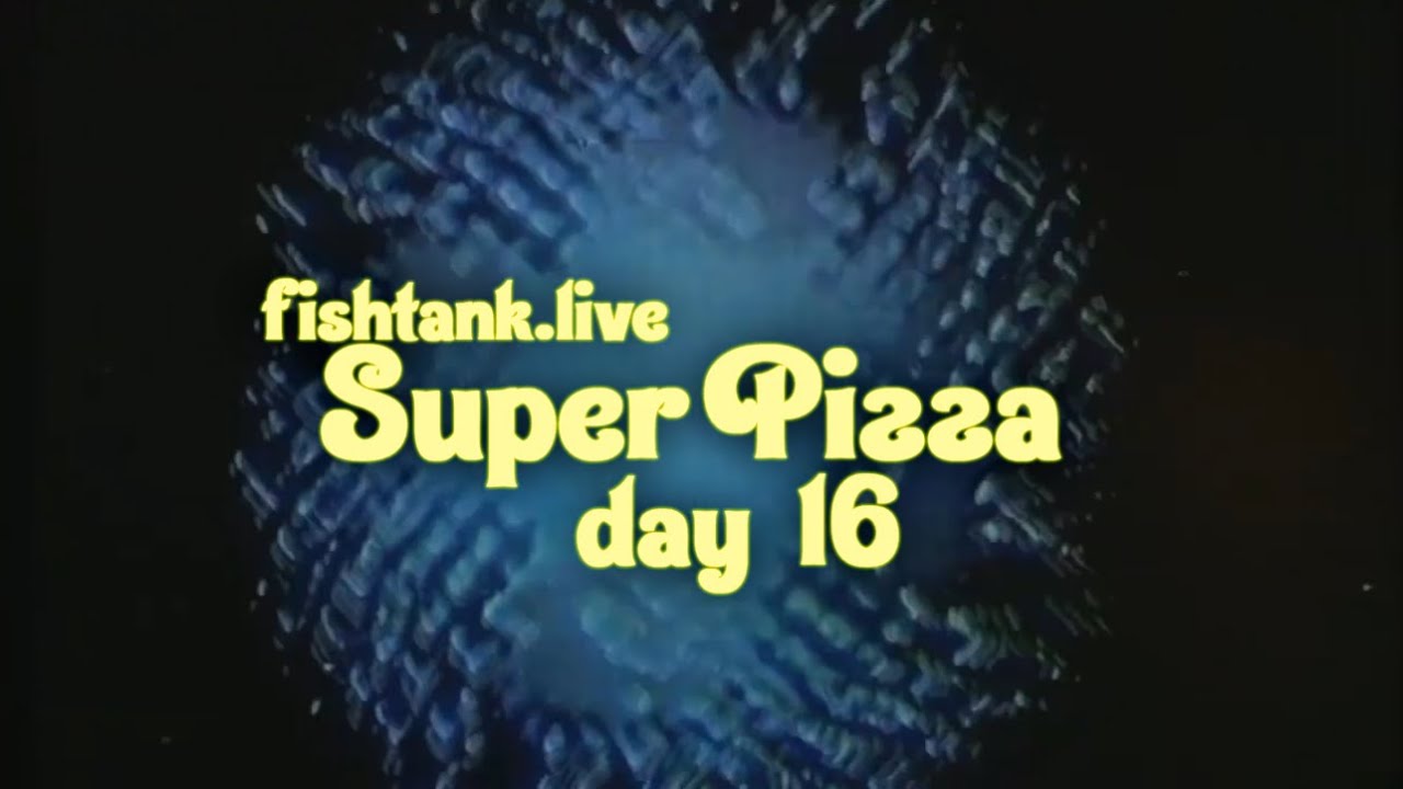 Fishtank Digest Season 2 Day 16: Super Pizza (Recap)