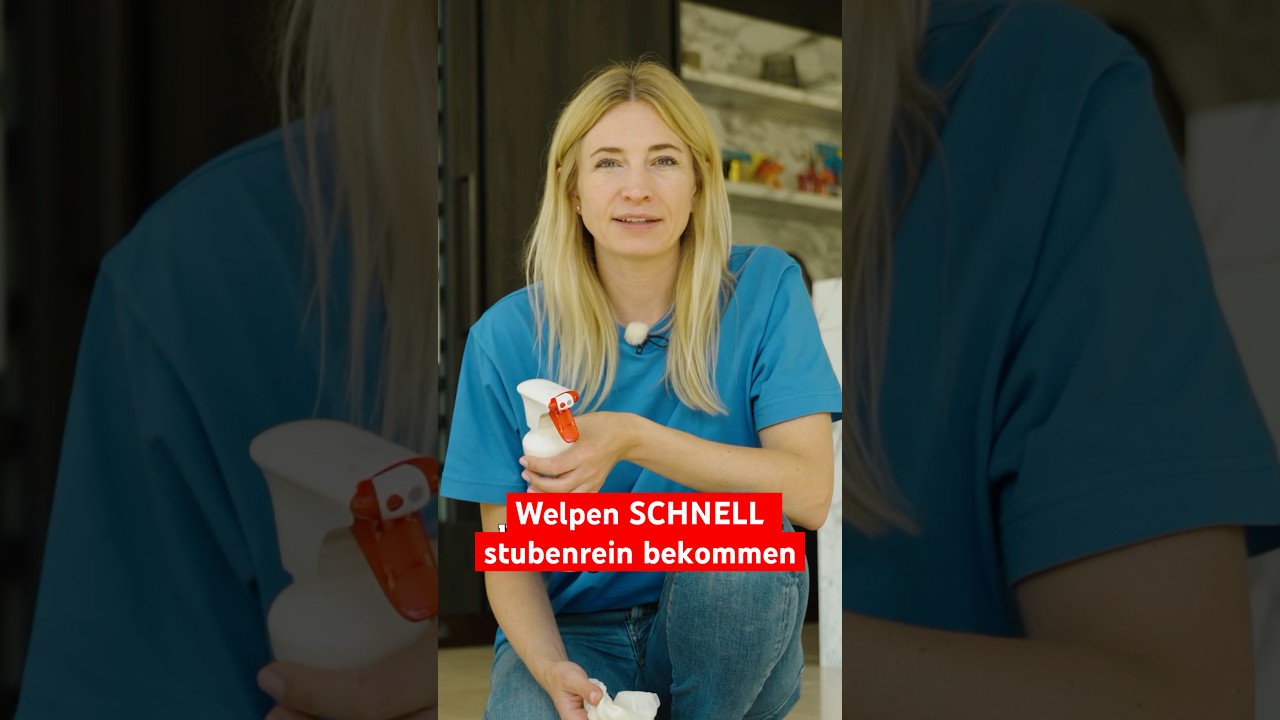 Welpen stubenrein bekommen in wenigen Tagen!