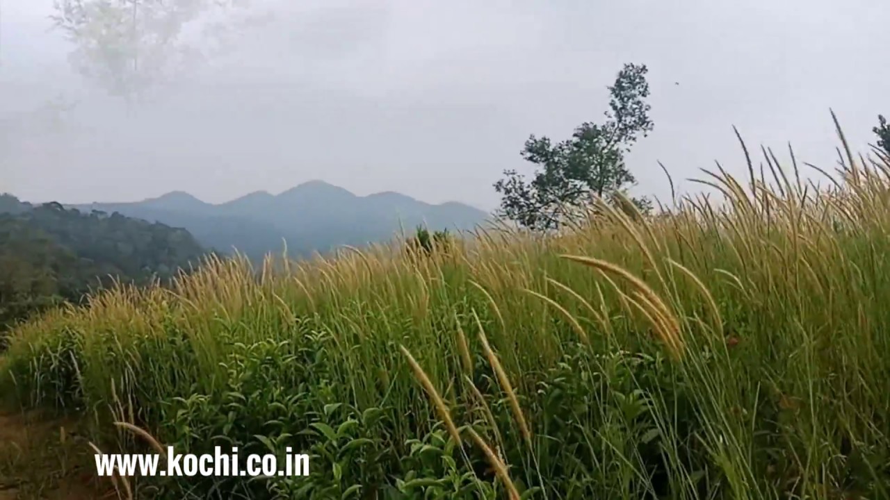 8 acres land for sale at Pooppara, near Munnar | Kerala.Property