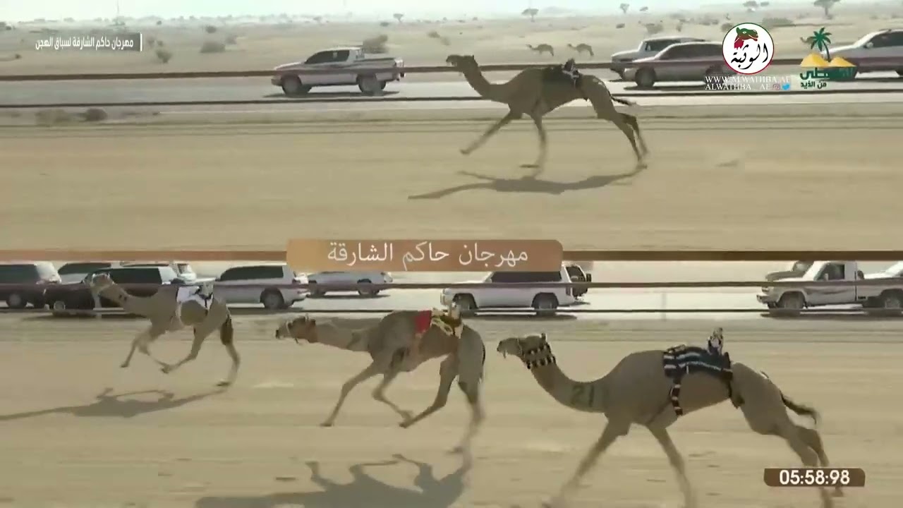 الشوط 2 بندقية (جيلبوت) لـ محمد حمد فطيس المري 13:13:98 , مهرجان الذيد 2022/11/1 حول زمول