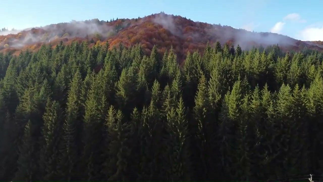 Cu Prafosu' pe valea Valsanului - soft off-road