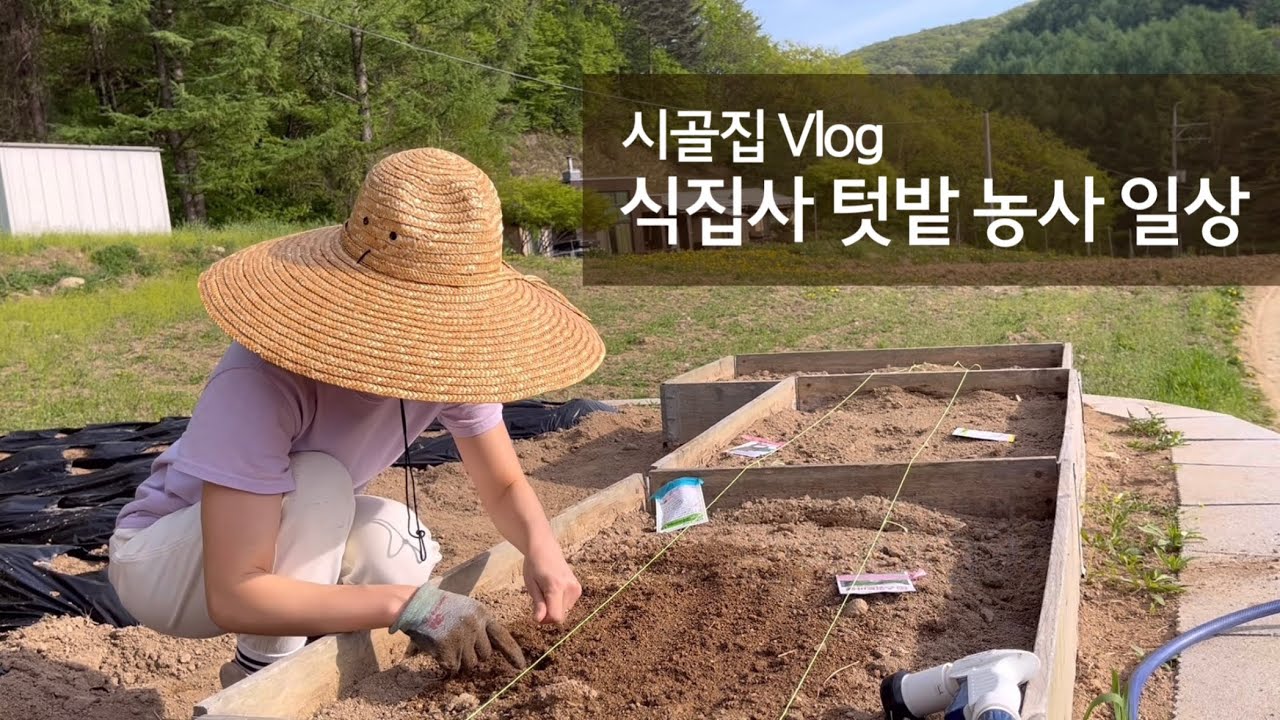 시골집 텃밭농사 I 텃밭 가꾸기 현실 I 멀칭 타공기 I 잡초전쟁 I 옥수수 허브 키우기 I 비닐 멀칭 I 쿠바식 틀밭 I 정원관리 I 5도2촌 I 시골생활 Vlog