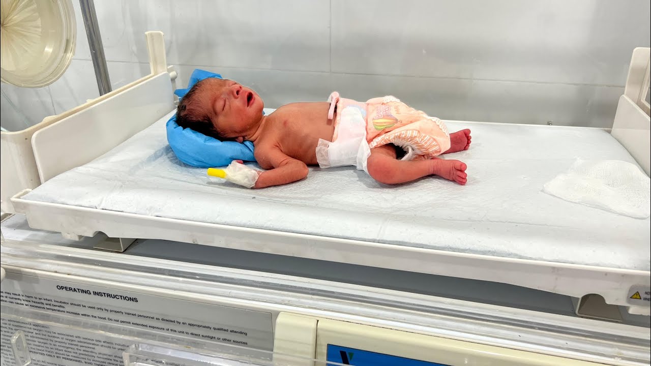 Life Inside the Incubator | Preterm Newborn Baby Update