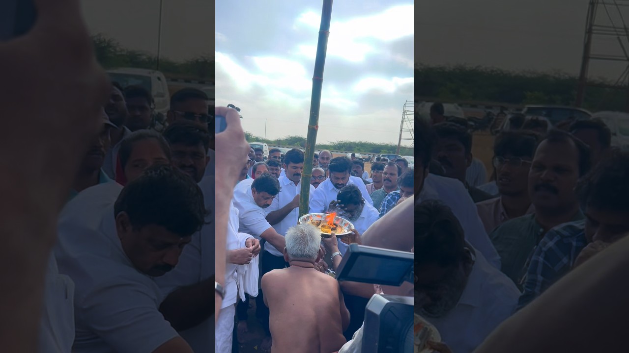 Ntk Manadu Trichy #ntkmaanadutrichy #ntkvideo #vibesongs #viral #jallikattusong