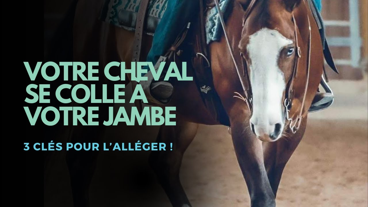 Votre cheval se colle-t-il à votre jambe?