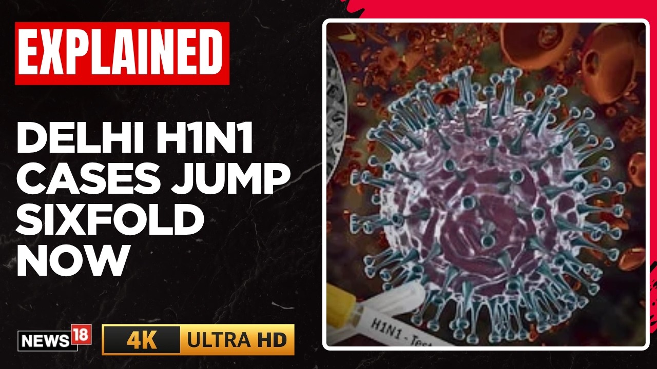Delhi H1N1 Cases Jump Sixfold | Dengue Surge & Pneumonia Warning Signs Issued | N18V | 4K