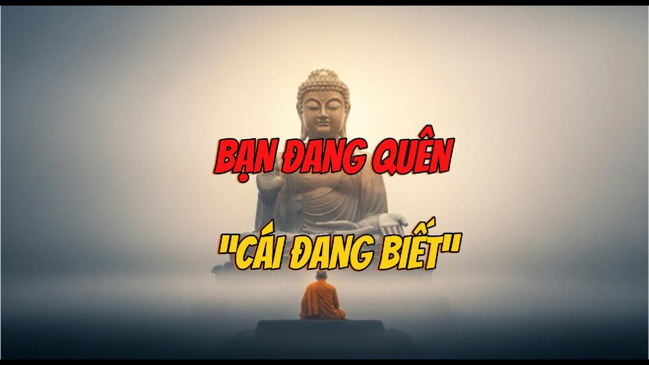 Quay Về Với Cái Đang Biết: Nền Tảng Của Tĩnh Lặng Và Tự Do Nội Tại