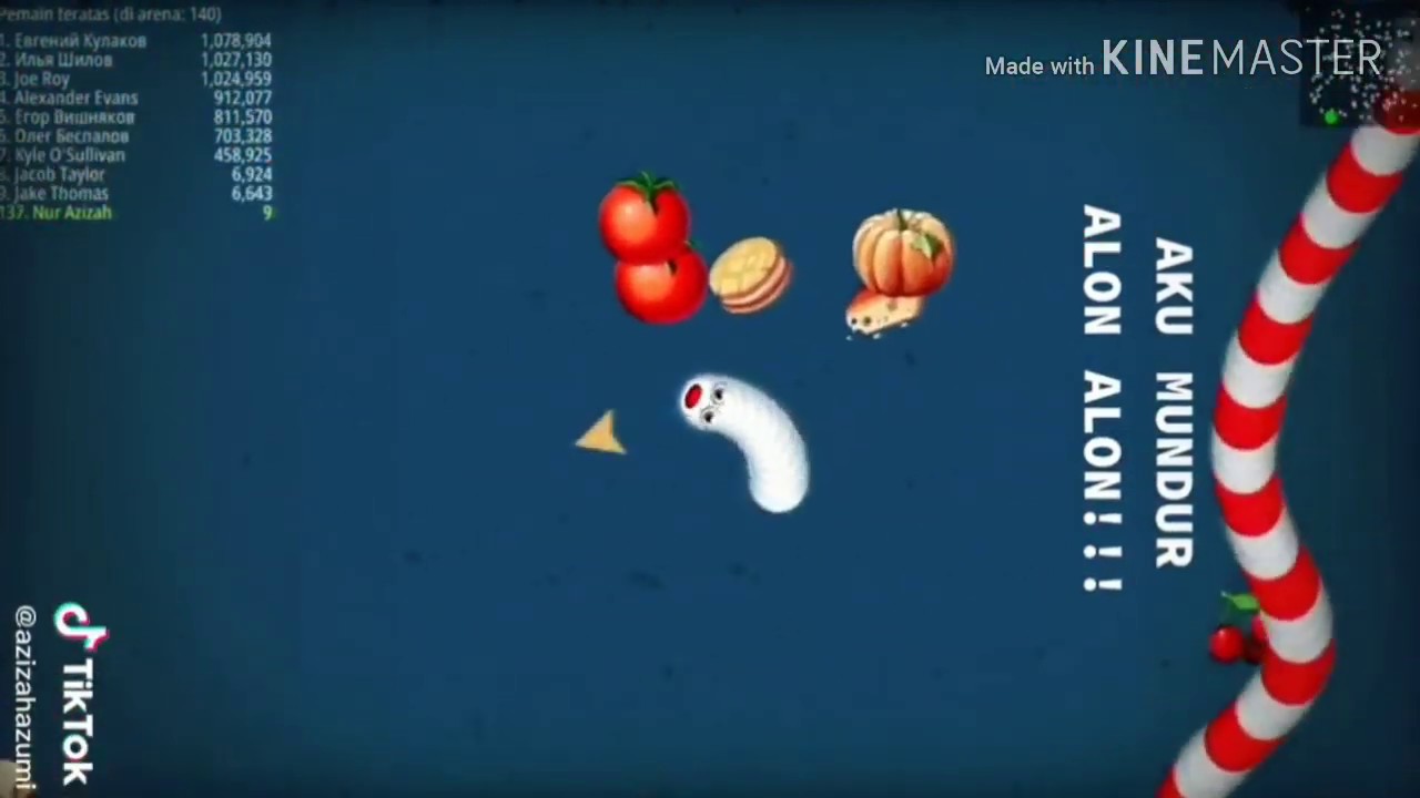 Kumpulan Cacing tiktok terbaru ( cacing tiktok mudur alon-alon )