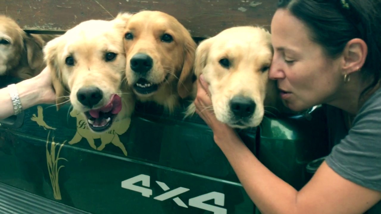 Butternut Goldens -- Wonder