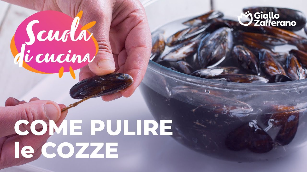 COME PULIRE e APRIRE le COZZE: a SCUOLA di CUCINA con GZ🤓🌊🦪