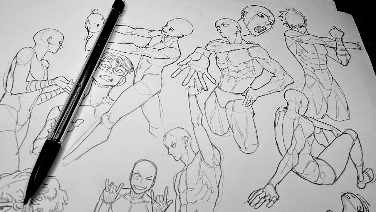 Sketching Anatomy from Memory