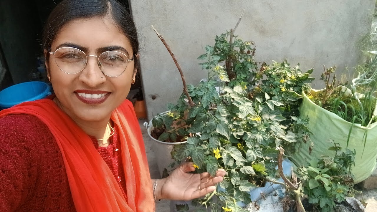 Sat Shri Akal Ji, sabji layi chote chote kam shuru