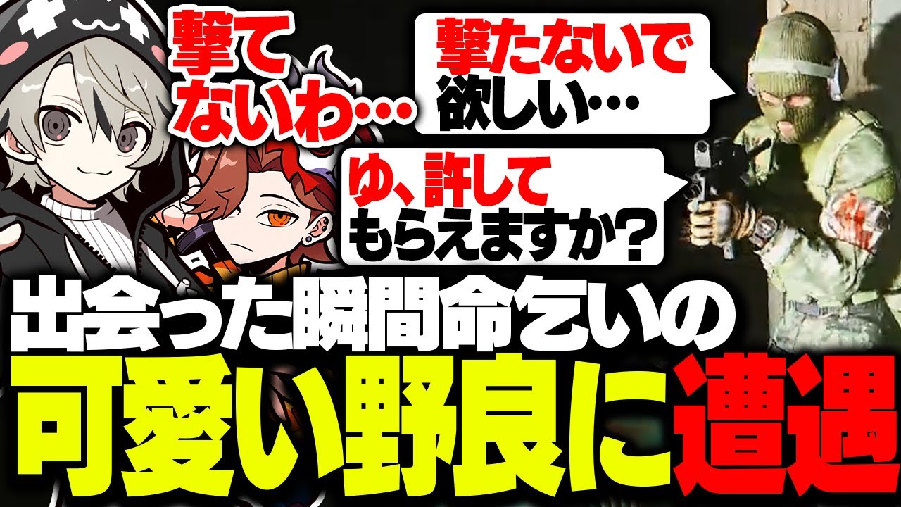 出会った瞬間命乞いしてくる可愛らしい野良に遭遇するととみっくす【タルコフ/ととみっくす/ありさか】